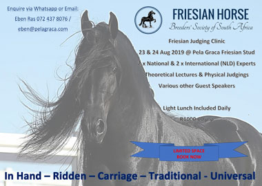 Friesian Judging Clinic