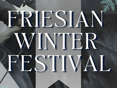 Winter Festival