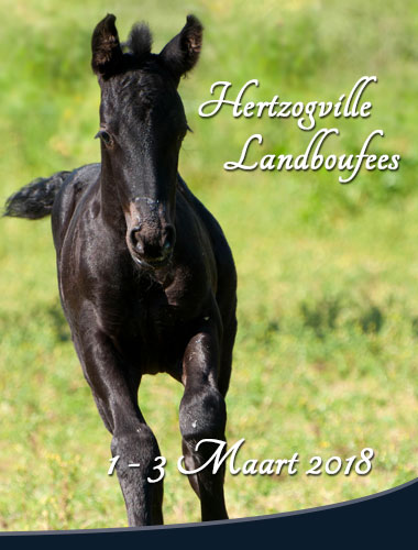 Hertzogville Skou