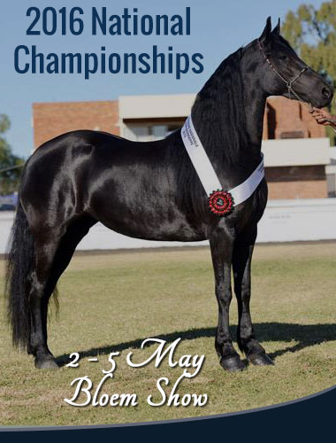 National Friesian Championship 2016