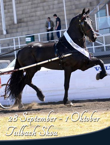 Tulbach Show 2016