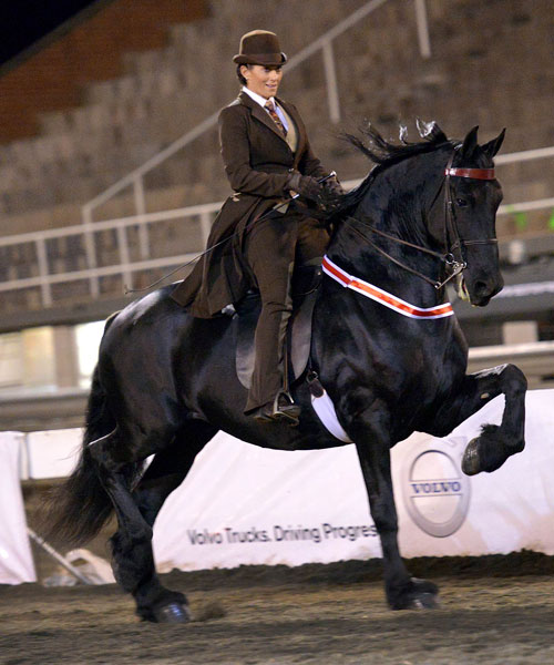 SA Friesperd Kampioenskappe 2017