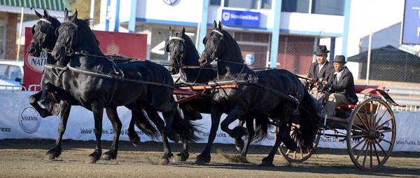 SA Friesperd Kampioenskappe 2017